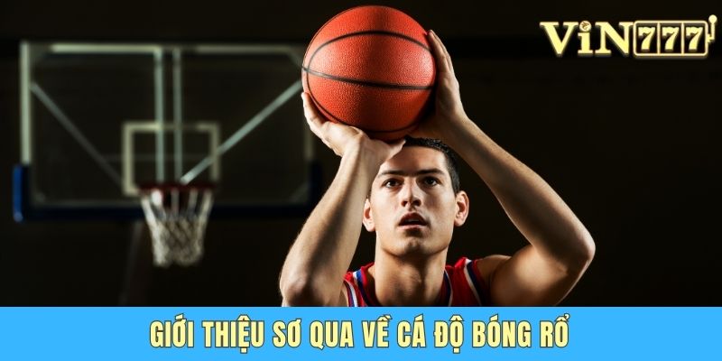 Giới thiệu sơ qua về cá độ bóng rổ